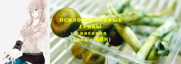 Альфа ПВП Кукмор