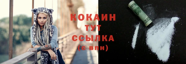 прущие грибы Краснослободск