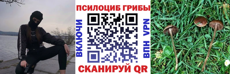 Псилоцибиновые грибы Cubensis  Называевск 